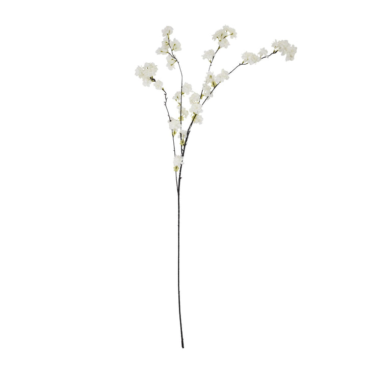 Large White Cherry Blossom Stem - Reposing