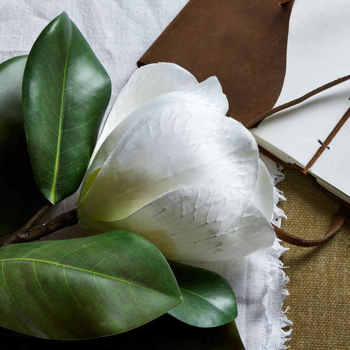 White Magnolia Stem - Reposing