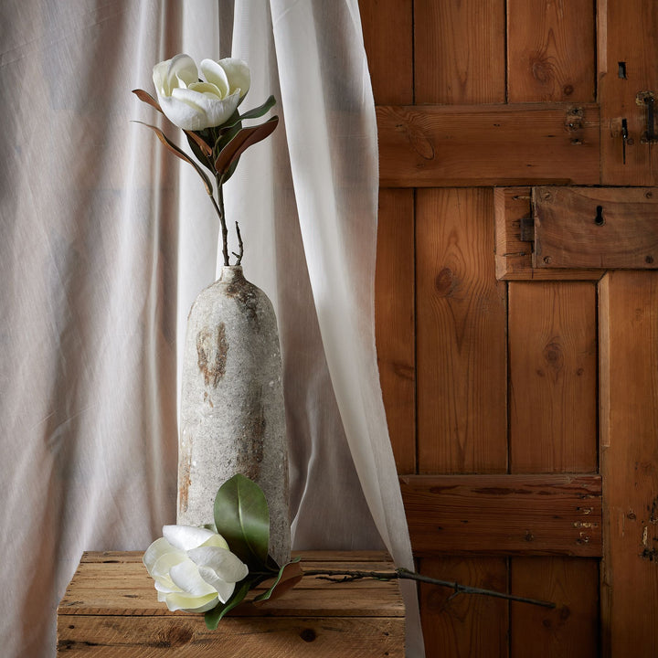 White Magnolia Stem - Reposing