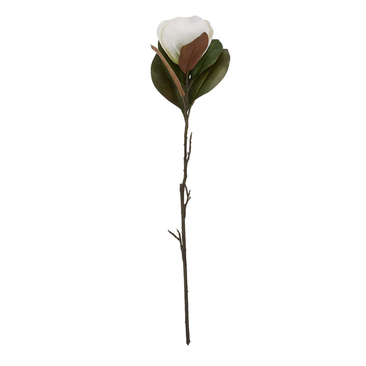 White Magnolia Stem - Reposing