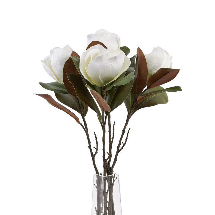 White Magnolia Stem - Reposing