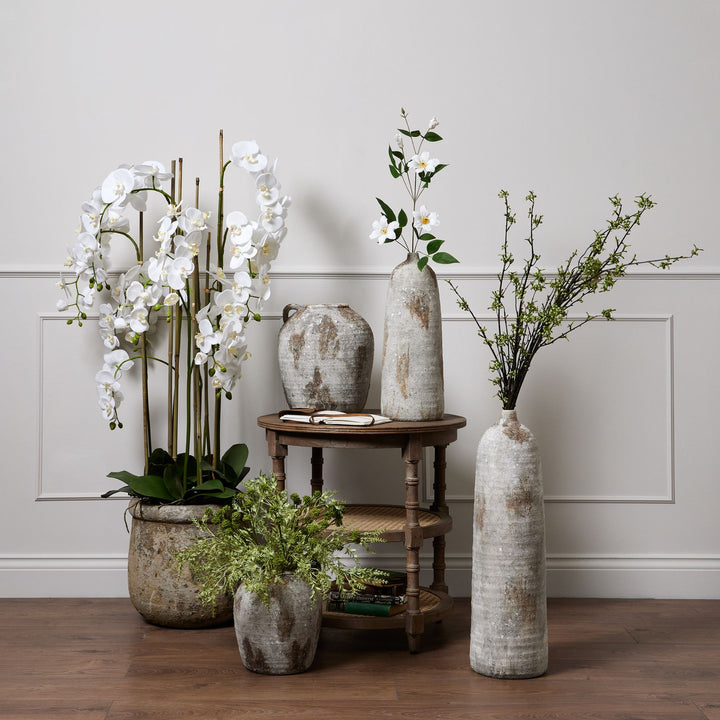 Large White Orchid In Antique Stone Pot - Reposing