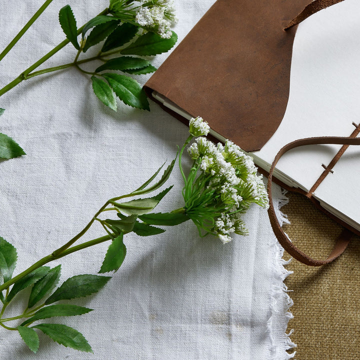 Faux White Cow Parsley Ammi - Reposing