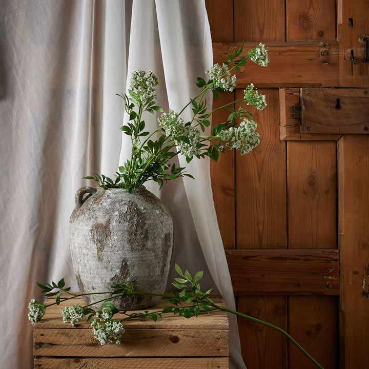 Faux White Cow Parsley Ammi - Reposing