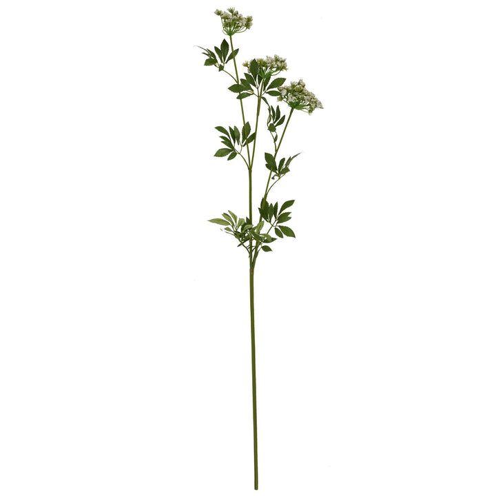 Faux White Cow Parsley Ammi - Reposing