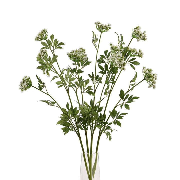Faux White Cow Parsley Ammi - Reposing