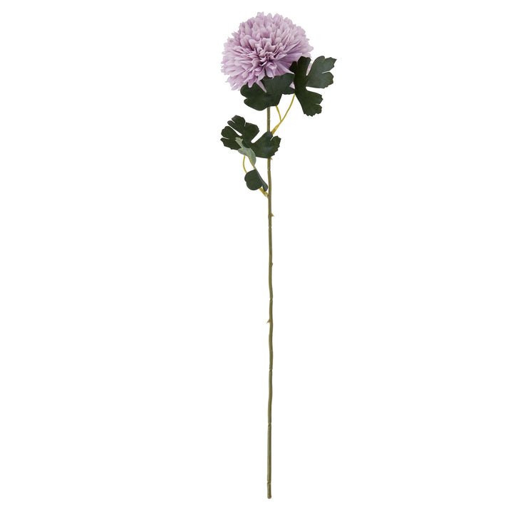 Light Purple Chrysanthemum - Reposing