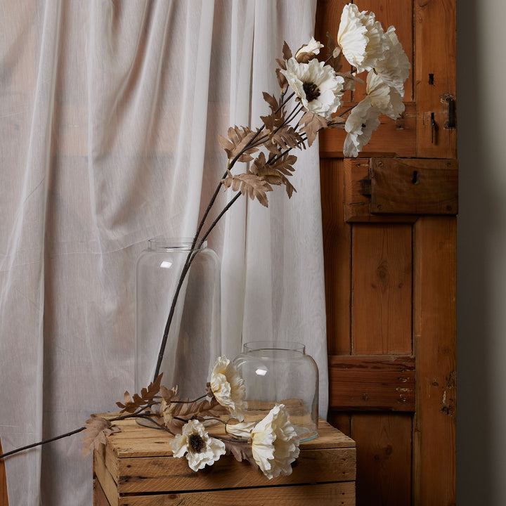 Large White Poppy Stem - Reposing