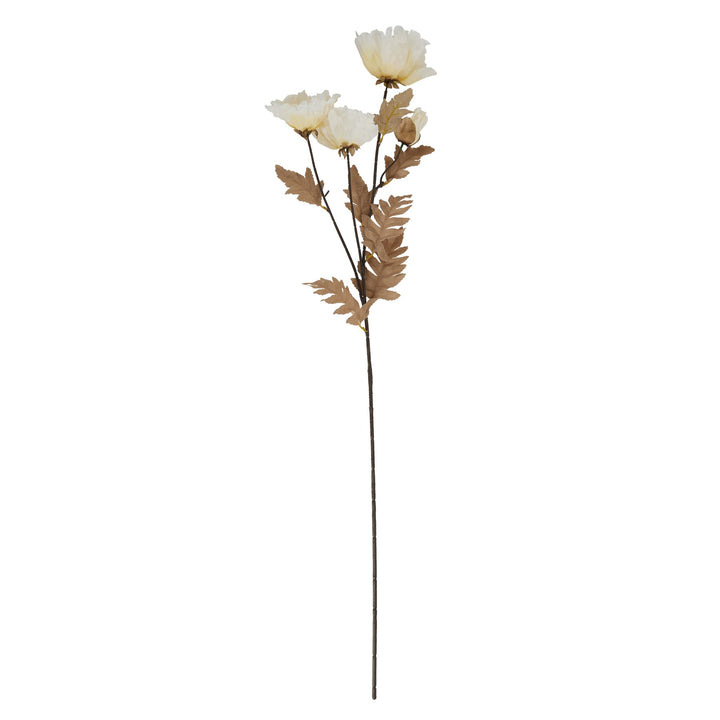 Large White Poppy Stem - Reposing