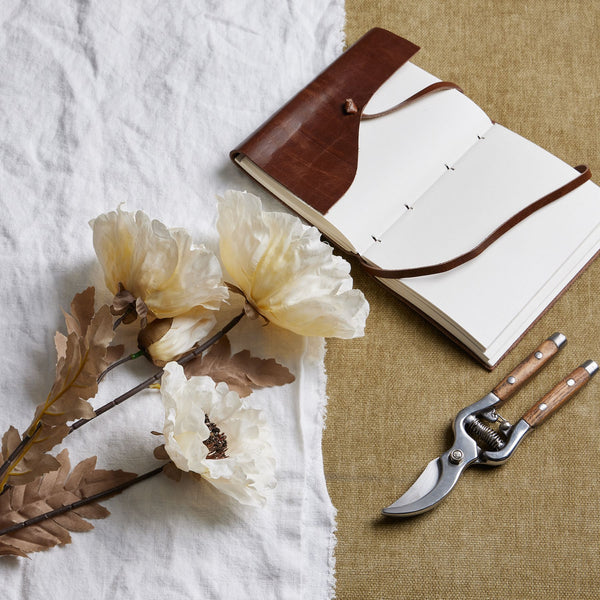 Large White Poppy Stem - Reposing