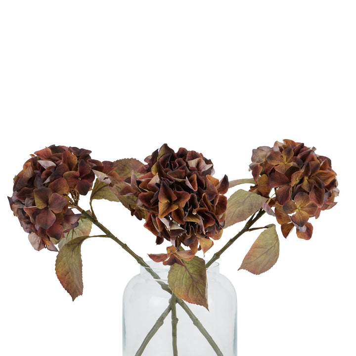 Mixed Autumn Browns Single Hydrangea Stem - Reposing