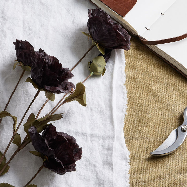 Tall Black Poppy Stem - Reposing