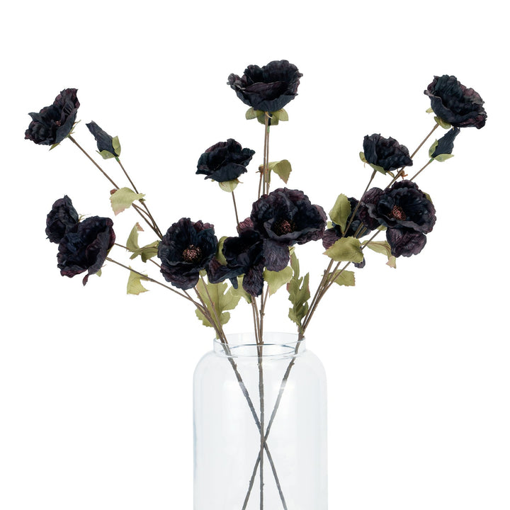 Tall Black Poppy Stem - Reposing