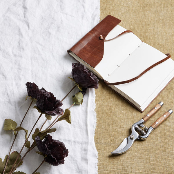 Tall Black Poppy Stem - Reposing