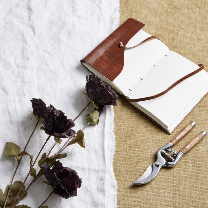 Tall Black Poppy Stem - Reposing