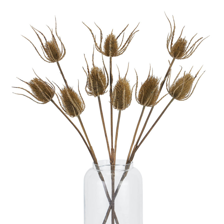 Large Brown Triple Teasle Stem - Reposing