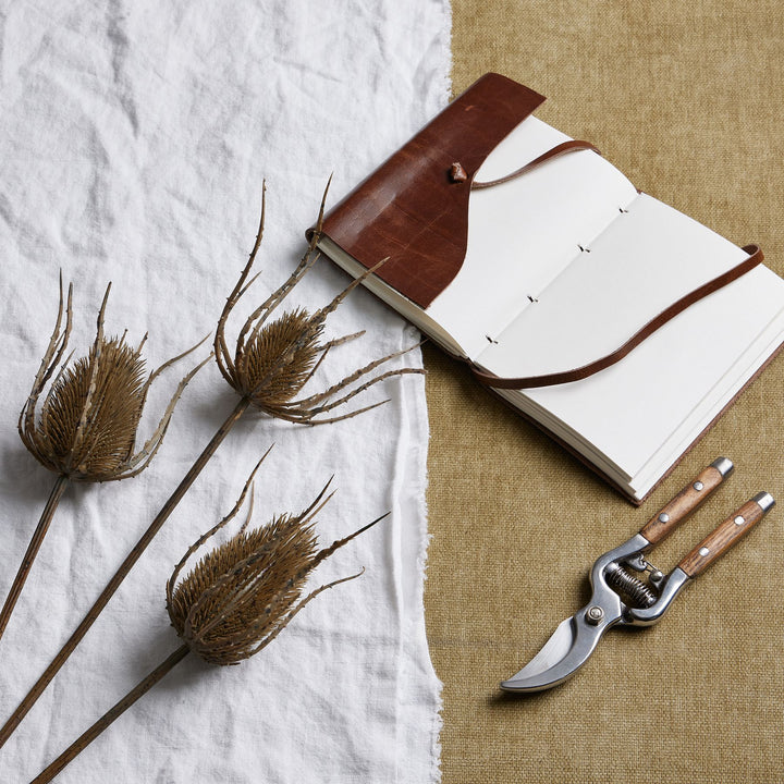 Large Brown Triple Teasle Stem - Reposing