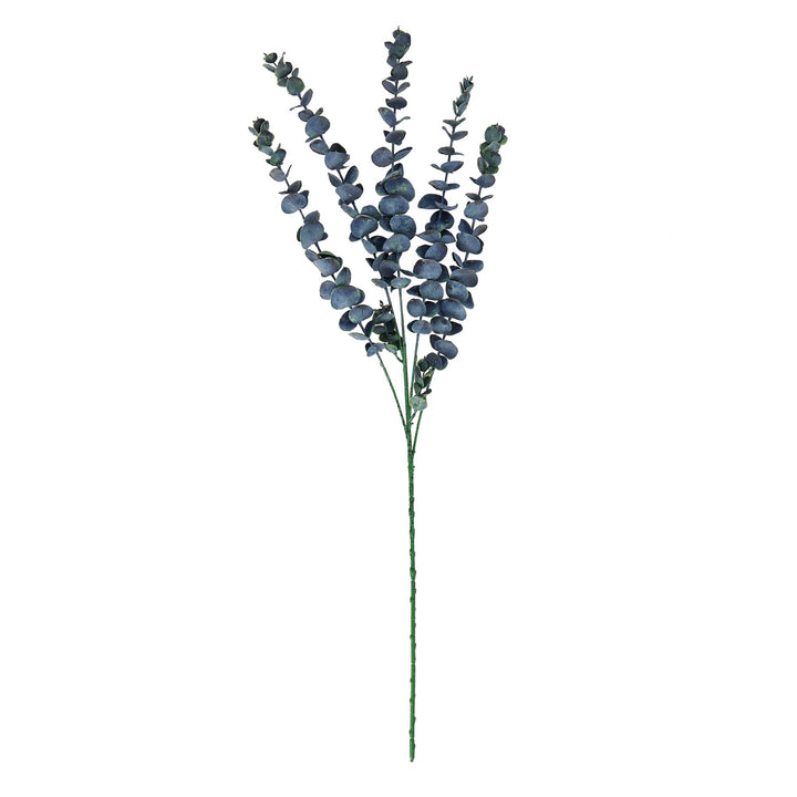 Large Blue Eucalyptus Stem - Reposing