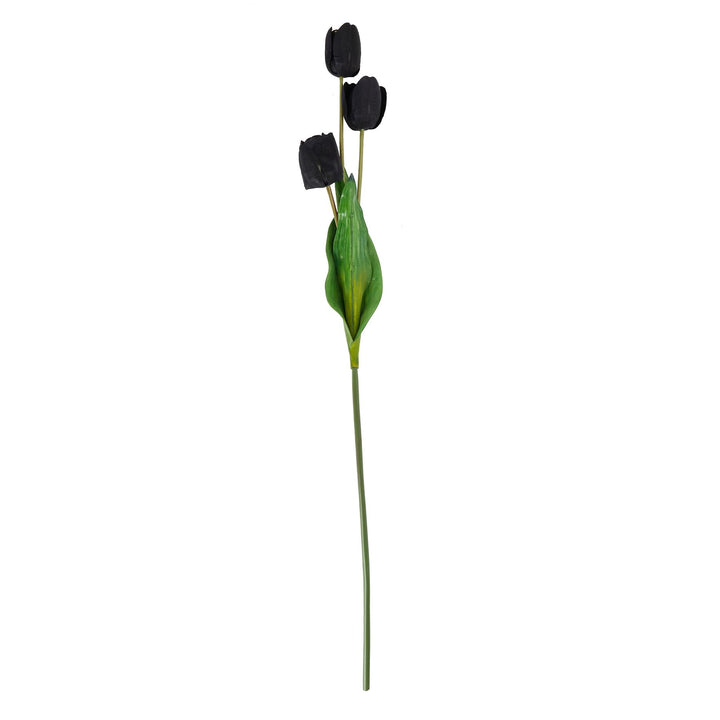 Tall Black Triple Tulip Stem - Reposing