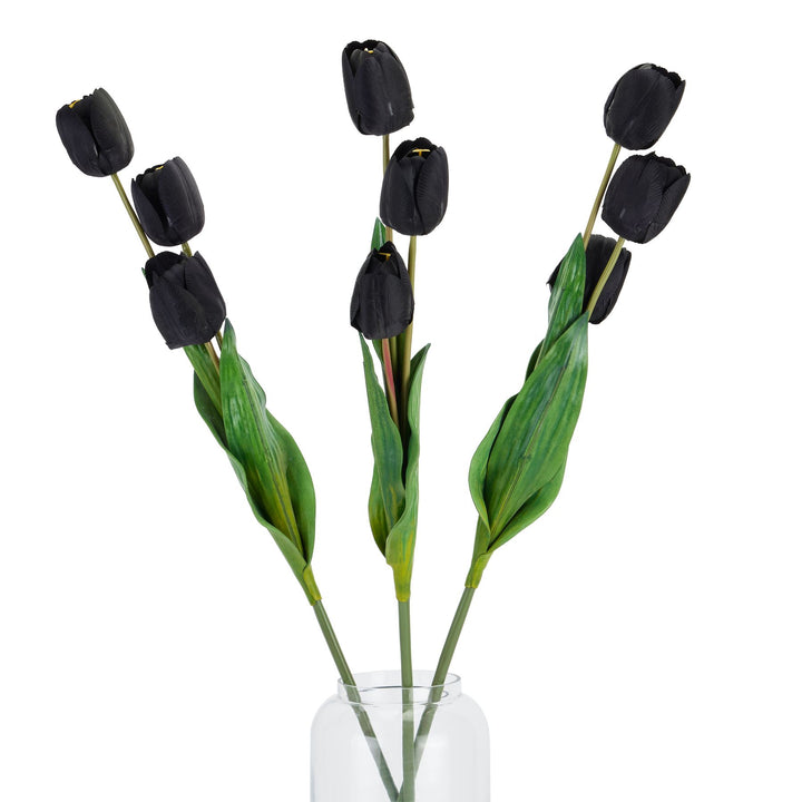 Tall Black Triple Tulip Stem - Reposing