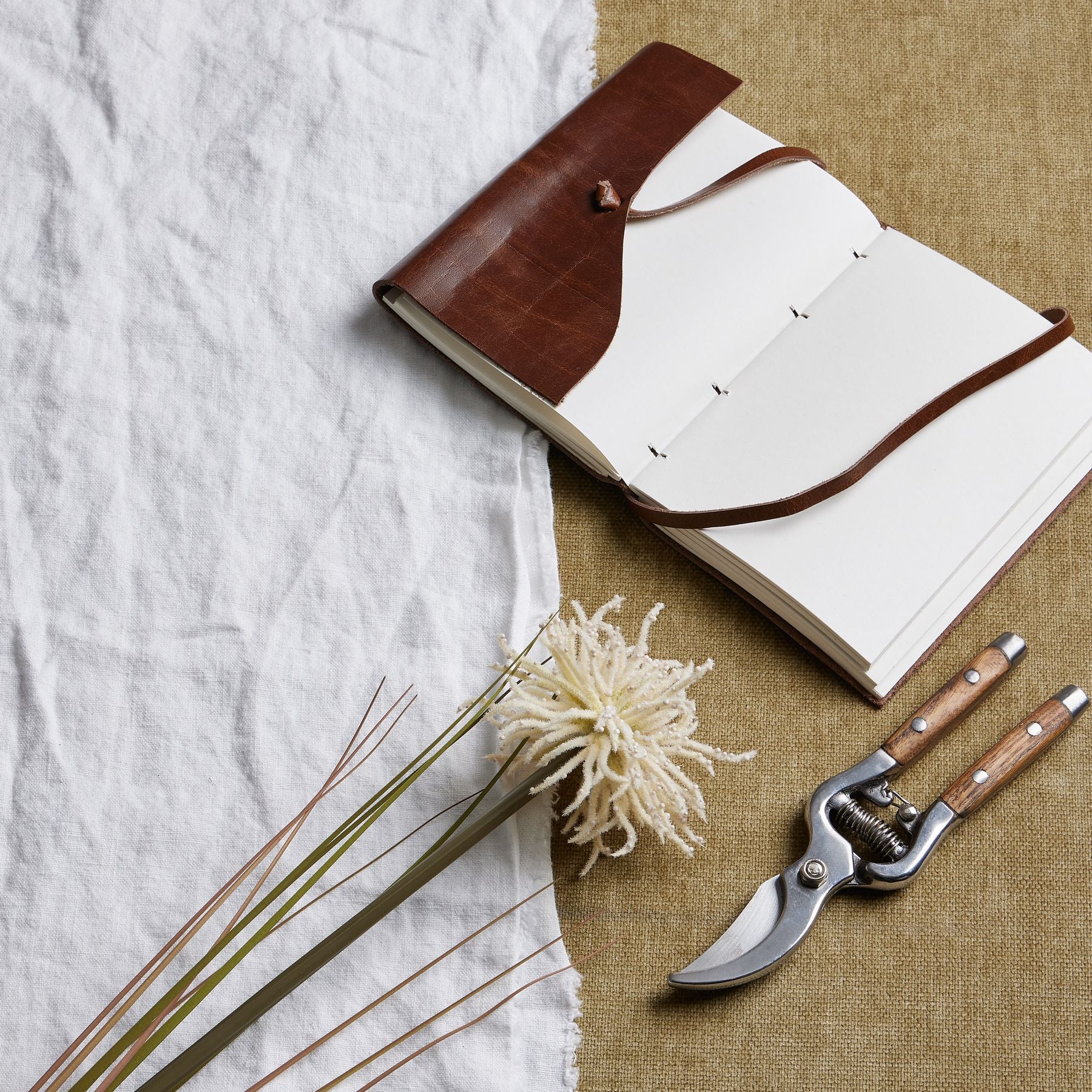 Reposing V Cream Aster Spider Chrysanthemum Stem