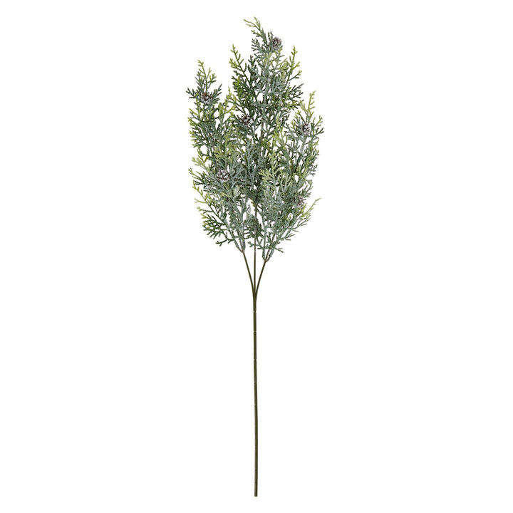 Frosted Pine Tall Stem With Pinecones - Reposing