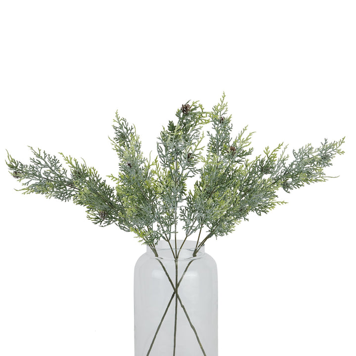 Frosted Pine Tall Stem With Pinecones - Reposing