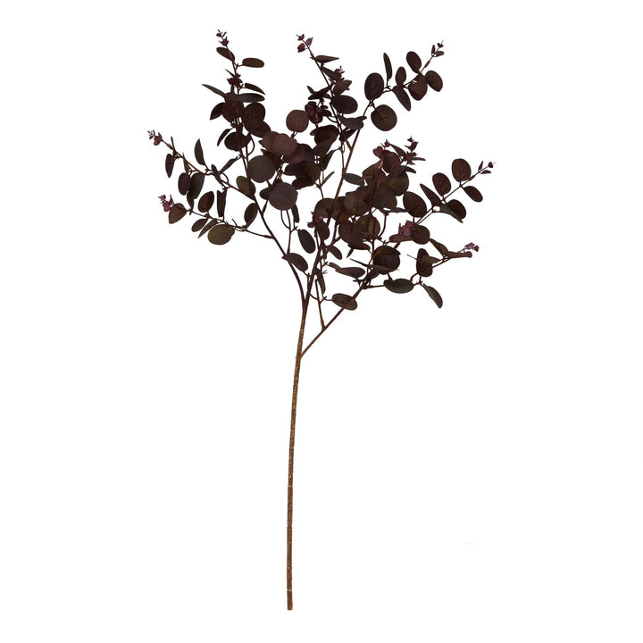 Burgundy Eucalyptus Bunch - Reposing