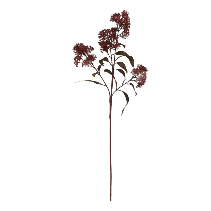 Medium Burgundy Smokebush Stem - Reposing