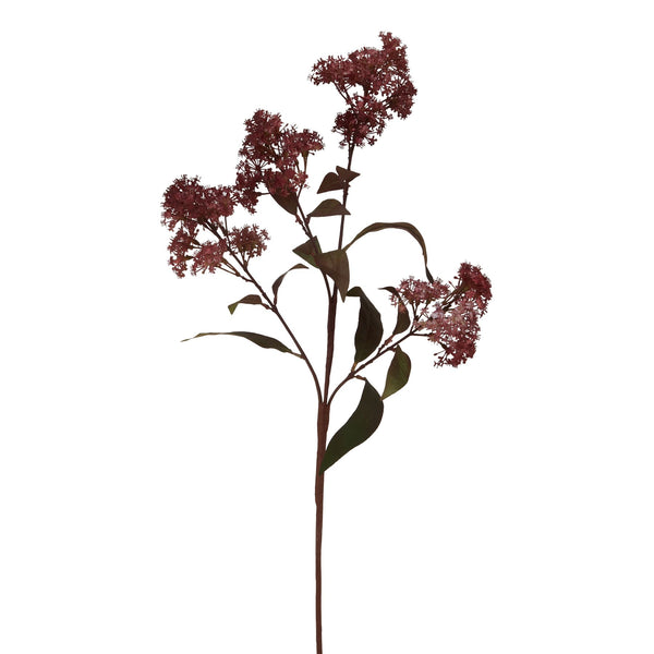 Medium Burgundy Smokebush Stem - Reposing