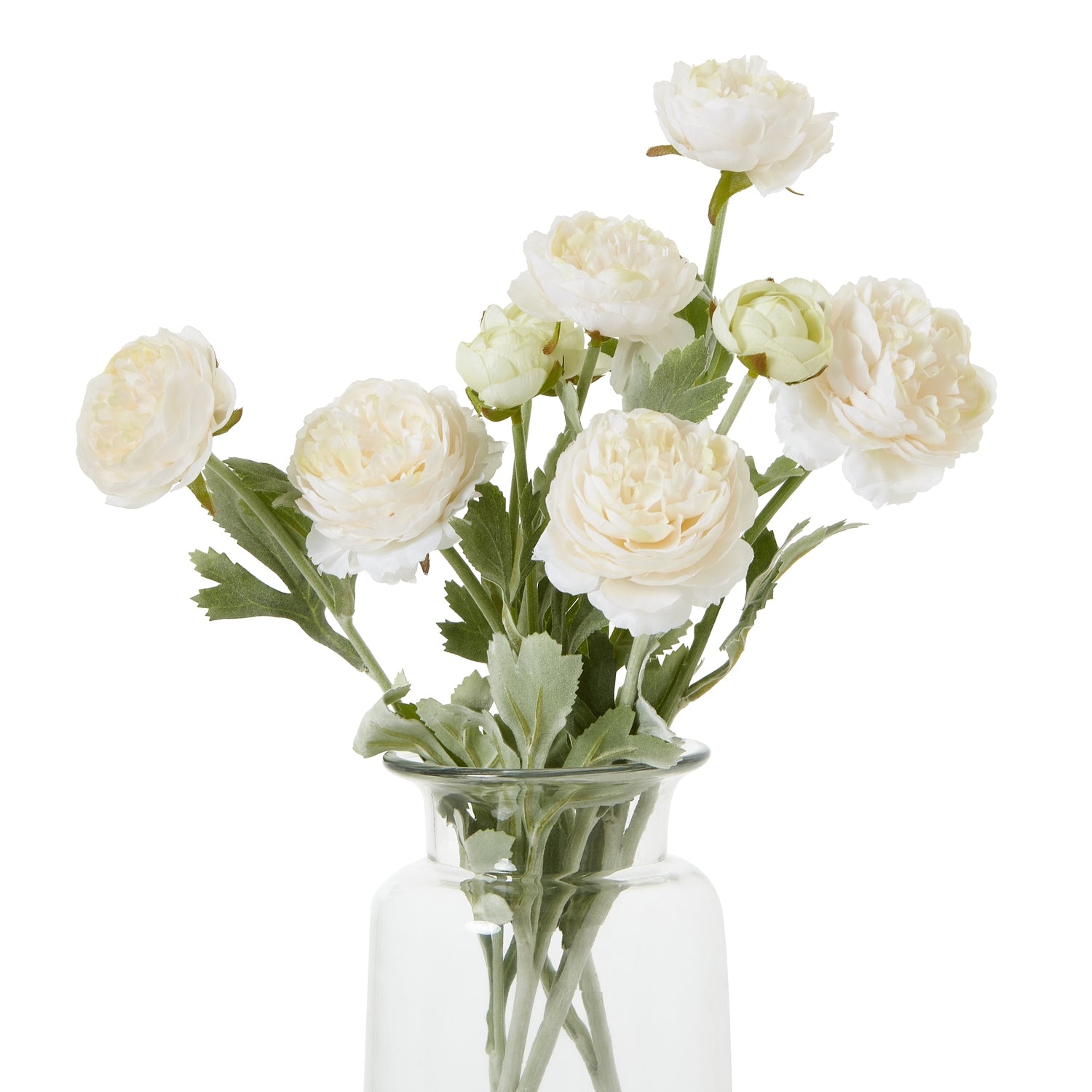 Reposing V The Natural Garden Collection Apricot Ranunculus