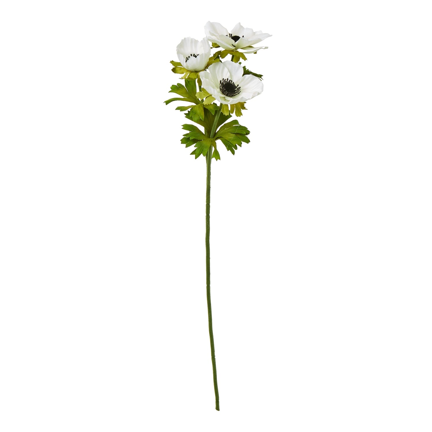 Reposing V White Anemone Spray