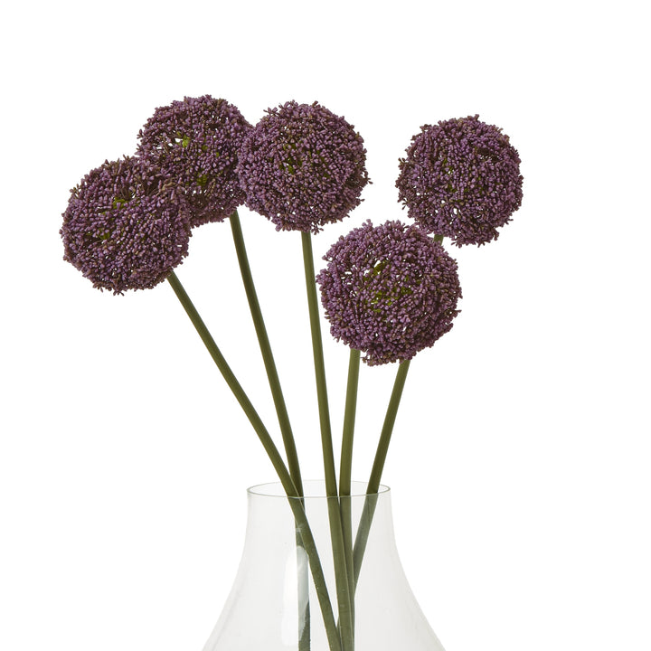 Reposing V Purple Allium Stem