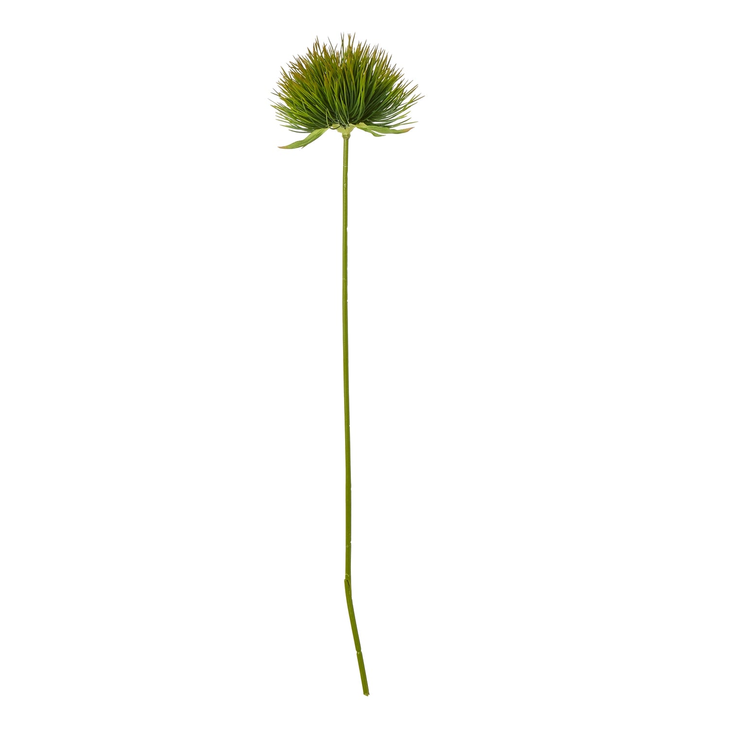 Reposing V Green Moss Stem